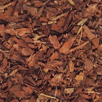 Bark