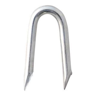 GALV STAPLE 0.5KG   20 x 2.00  PPS20MB